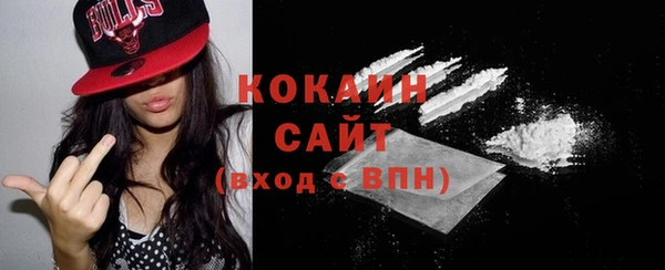 дживик Бородино