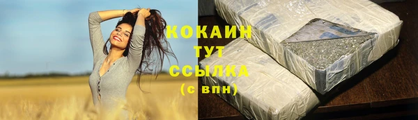 дживик Бородино