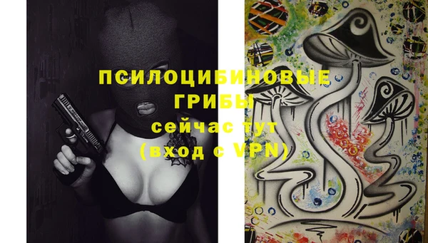дживик Бородино