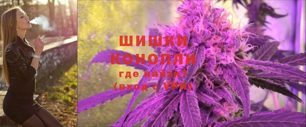 дживик Бородино