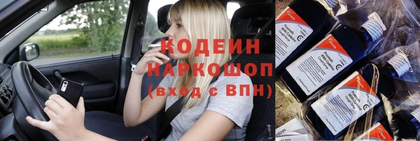 дживик Бородино